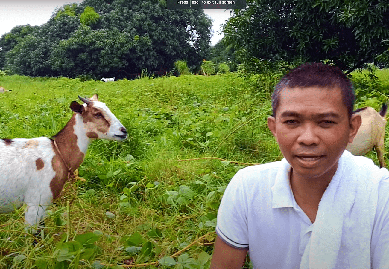 4 Na Paraan Para Kumita Sa Pagkakambing