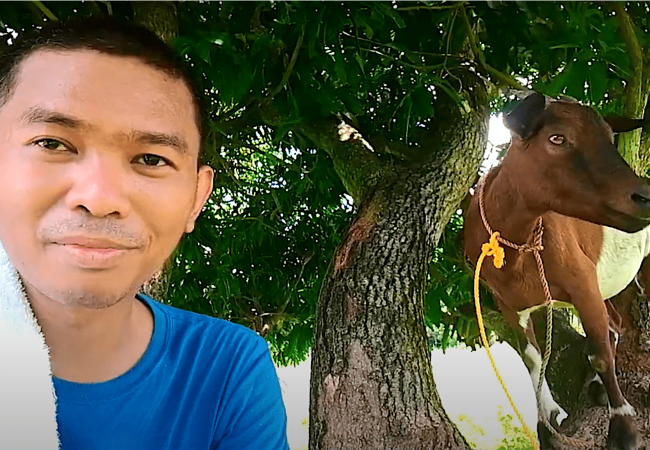 5 Tips sa Pagpapastol ng Kambing sa Pastulang Hindi Mo Pagmamay-ari