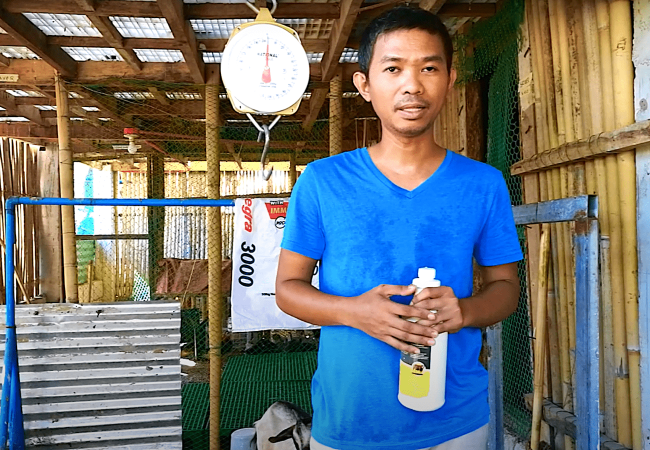 Anong Dewormer ang Gagamitin at Paano Magpurga ng Buntis at Hindi Buntis na Kambing