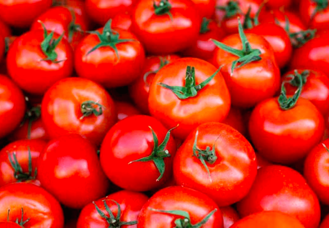 Bakit Magandang Ipakain ang Kamatis sa Rhode Island Red at Iba Pang Poultry Animals?