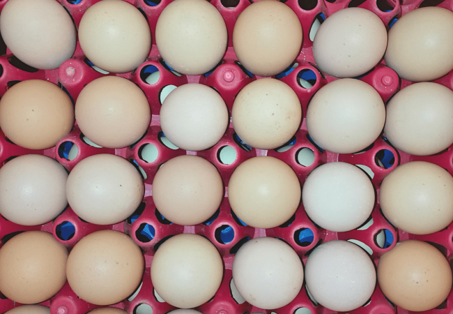 Ilang Grams ang Peewee, Small, Medium, Large, Extra Large at Jumbo Egg?