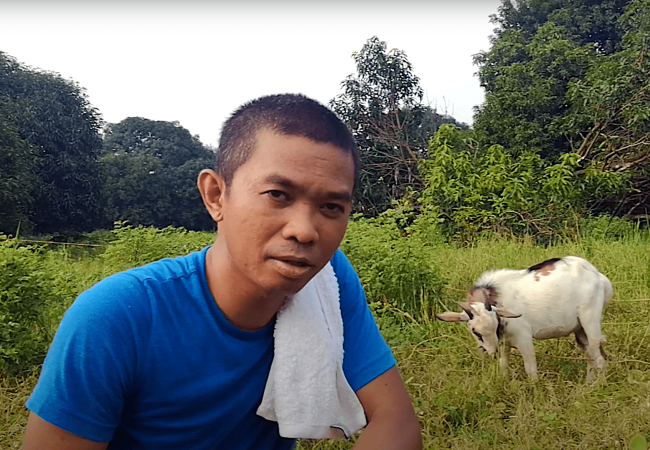 Meron Bang Best Season o Schedule ang Pagbi-Breed ng Kambing?