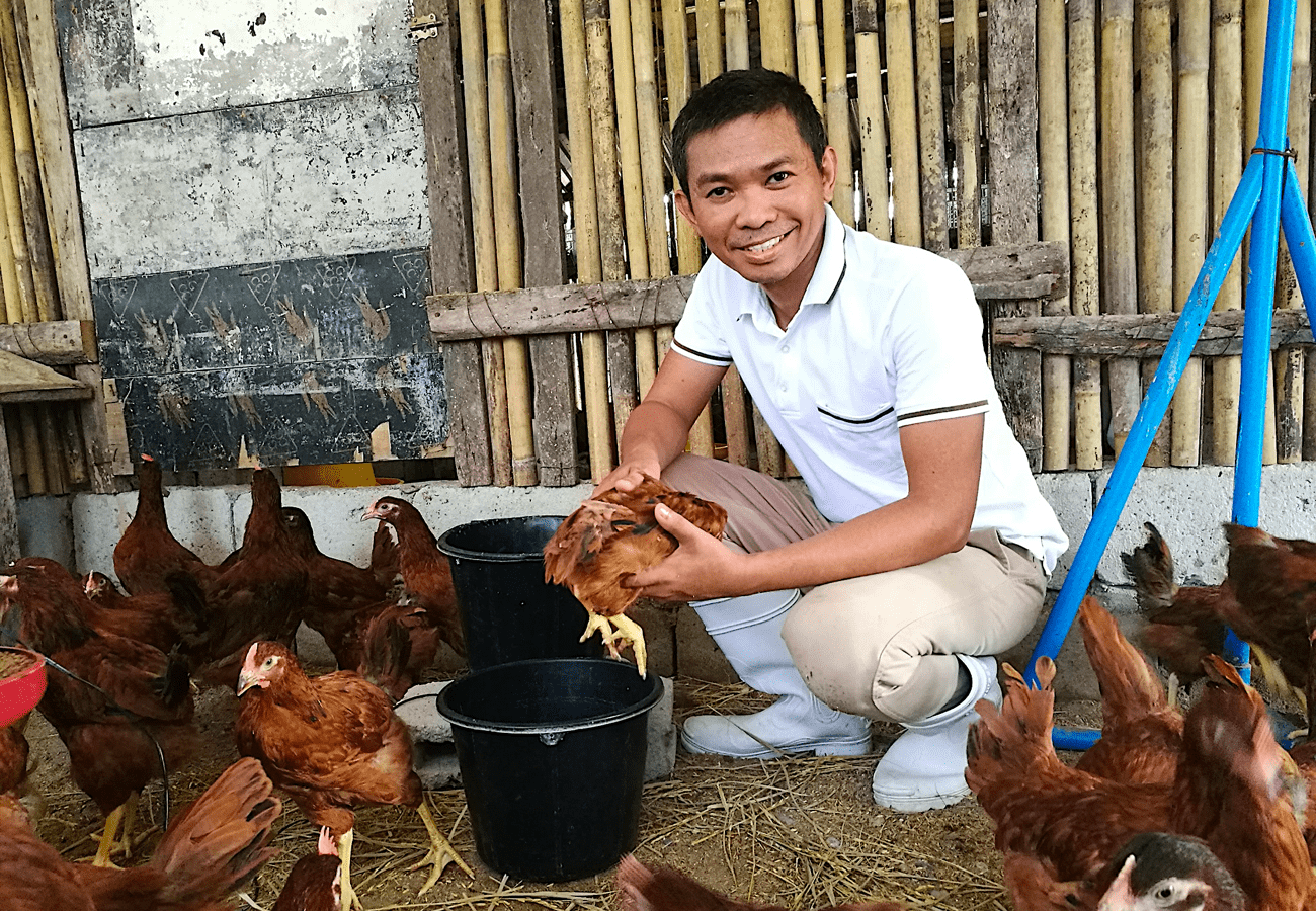 Tips sa Weighing ng mga 10-Week at 11-Week-Old na Rhode Island Red Chickens