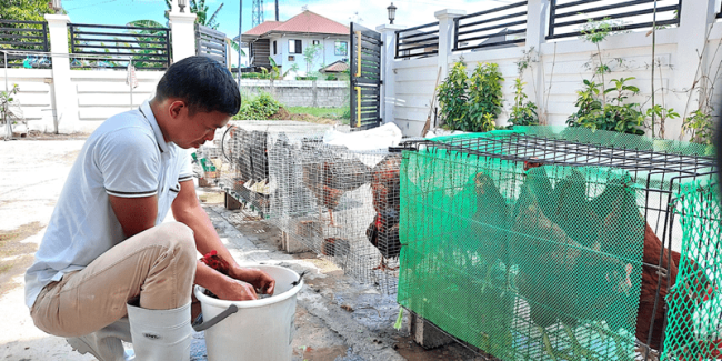 chicken preparation before delivery