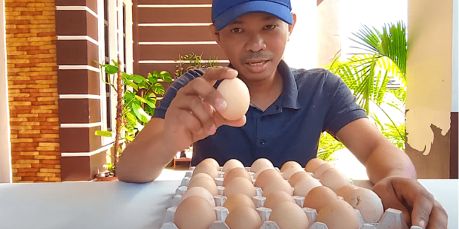 egg selection process