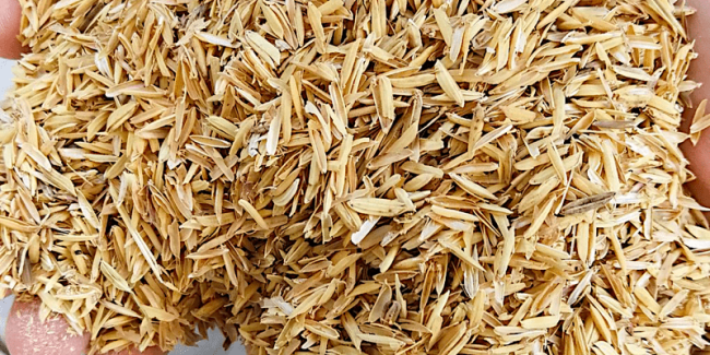 rice hull