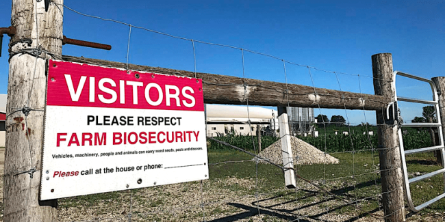 farm biosecurity