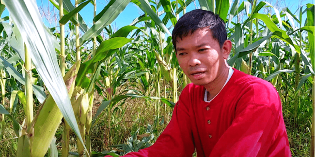 cut-and-carry grass cutting system