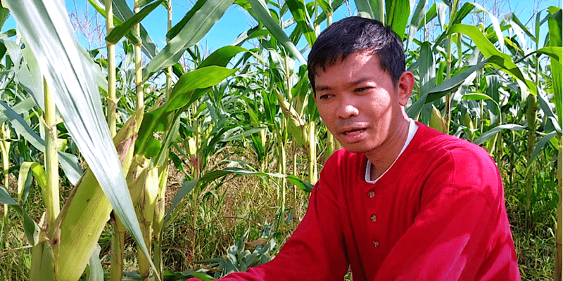cut-and-carry grass cutting system