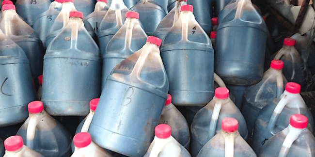 molasses for rabbits