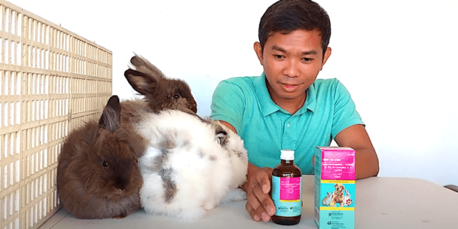 vitamin b-complex for rabbits