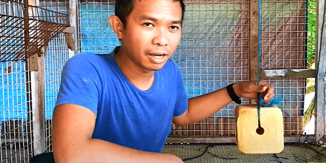 urea-molasses mineral block