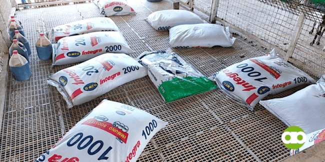 nutritional value of feeds