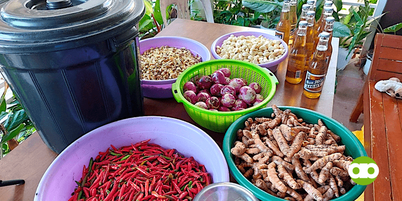 Oriental Herbal Nutrients (OHN)