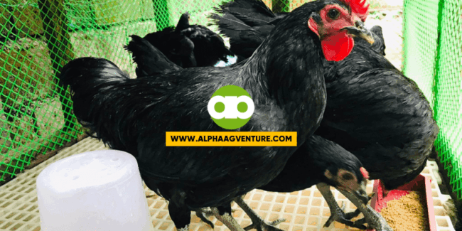 Tips Kung Paano Mo Dapat Tratuhin at Mapapabili ang Kuripot o Buraot na Customer