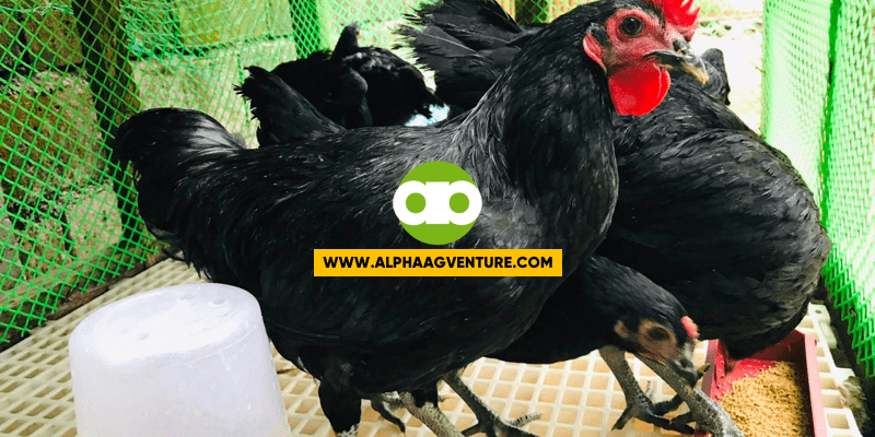 Tips Kung Paano Mo Dapat Tratuhin at Mapapabili ang Kuripot o Buraot na Customer