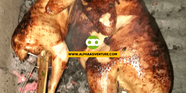 Kakatayin Dahil Hindi Maibenta, Sino ang Talo Business-wise?