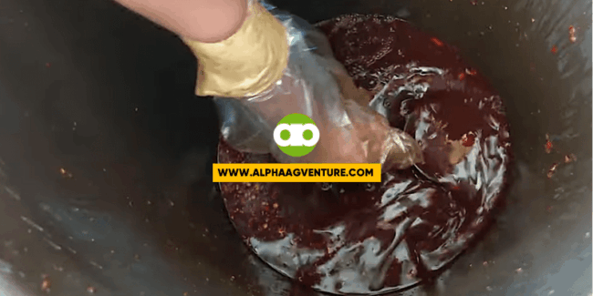 Paano ang Pagha-harvest ng Oriental Herbal Nutrients?