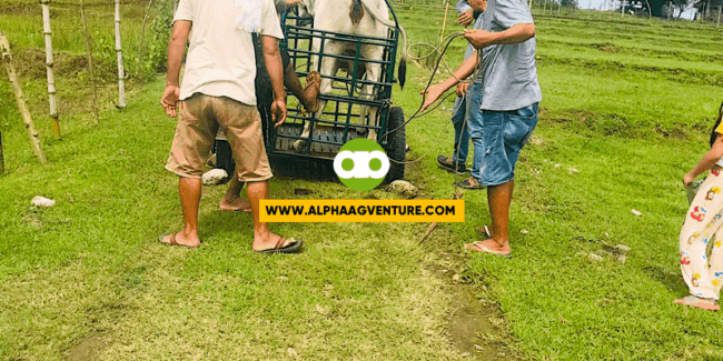 Trader Lang ang Kumikita sa Agribusiness?