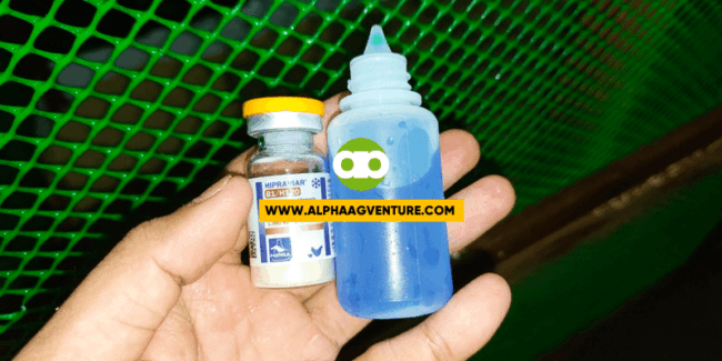 Pwede Bang Ibalik sa Refrigerator ang Tirang Vaccine?