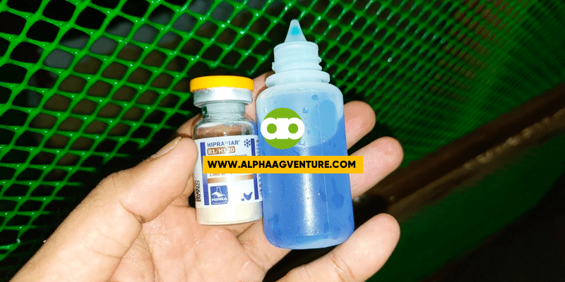 Pwede Bang Ibalik sa Refrigerator ang Tirang Vaccine?