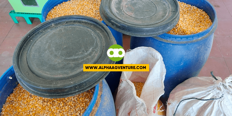 Ilang Grams ang Maidadagdag sa Mais Kapag Ibinabad Ito for 15 Hours?