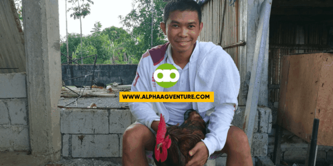 Natural Ba sa Manok ang Maga ang Mata Kapag May Sipon