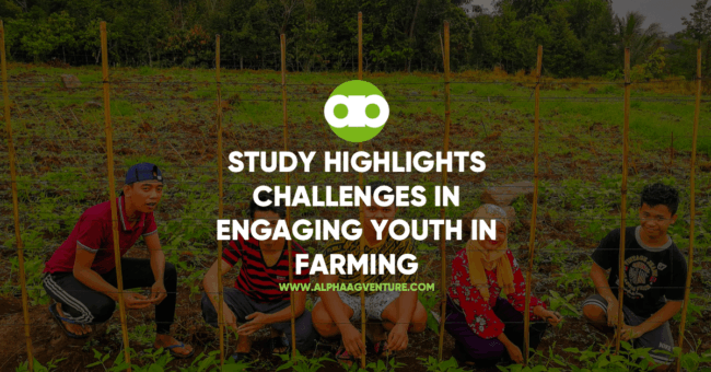 Study Highlights Challenges in Engaging Youth in Farming