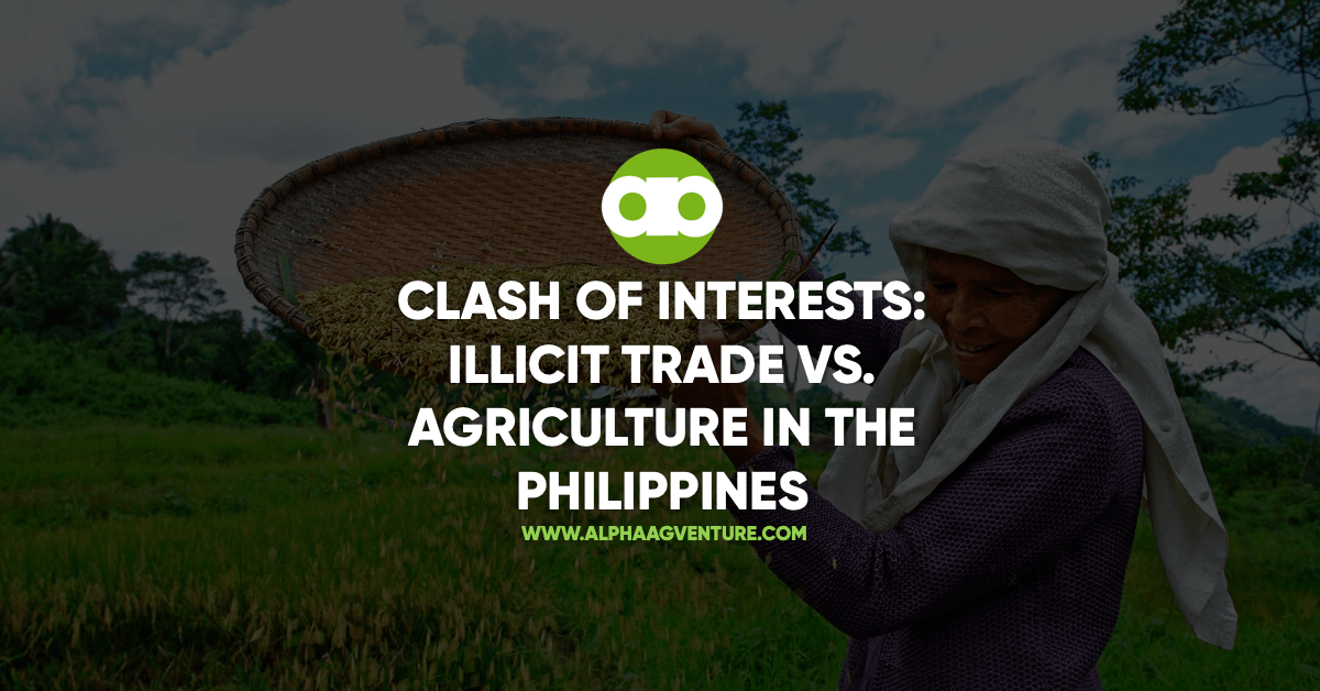 Clash of Interests: Illicit Trade vs. Agriculture in the Philippines