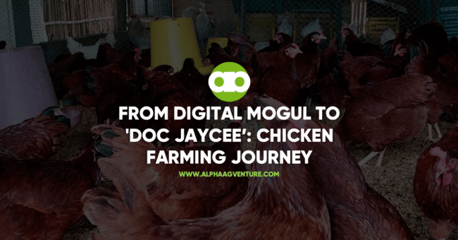 From Digital Mogul to 'Doc Jaycee'- Chicken Farming Journey