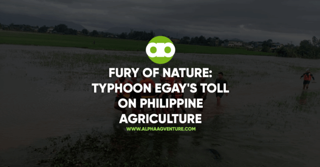 Fury of Nature- Typhoon Egay's Toll on Philippine Agriculture