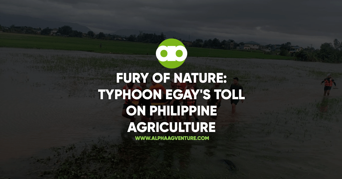 Fury of Nature- Typhoon Egay's Toll on Philippine Agriculture