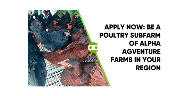 APPLY NOW- Be a Poultry Subfarm of Alpha Agventure Farms in Your Region