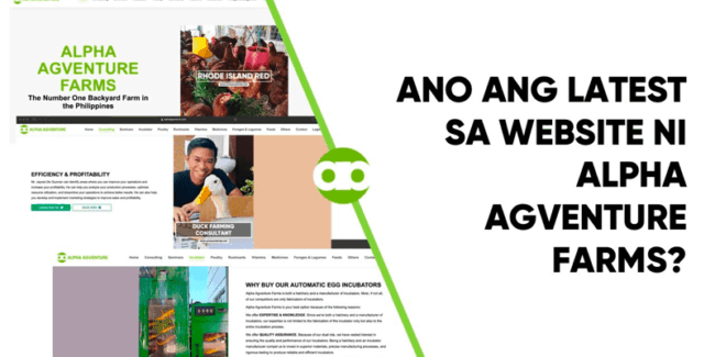 Ano ang Latest sa Website ni Alpha Agventure Farms
