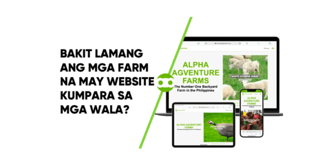 Bakit Lamang ang mga Farm na May Website Kumpara sa mga Wala?