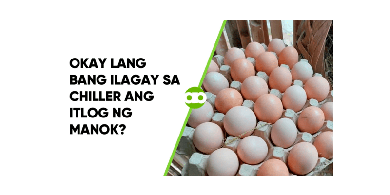Okay Lang Bang Ilagay sa Chiller ang Itlog ng Manok a