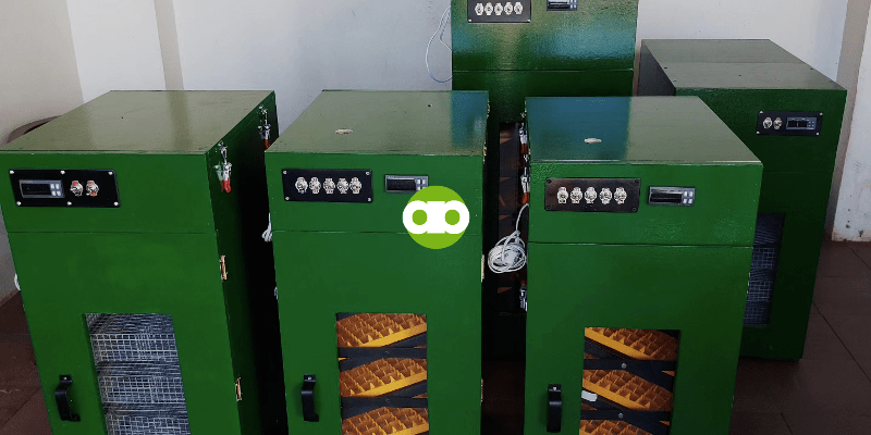 May Bad Effect Ba Kung Nakapahiga ang Itlog sa Setter ng Incubator