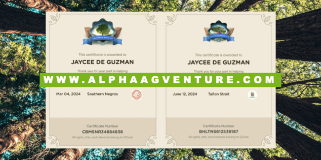 Alpha Agventure Farms Plants Second Tree through GCash's GForest Program