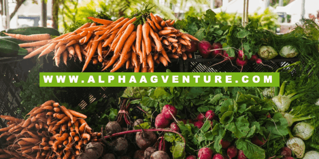 From Knowledge Crisis to Food Security Crisis- Understanding the Link