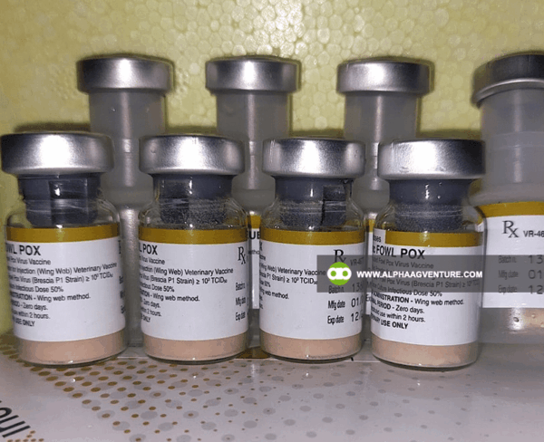 Buy Fowl Pox Vaccine for Sale from Alpha Agventure Farms