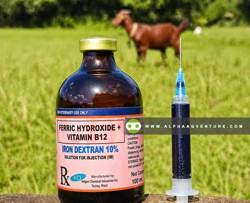 b12 injection dosage for energy Methylcobalamin Supplement