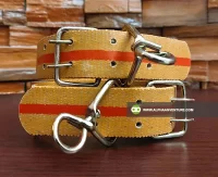 Buy Animal Neck Collars for Sale at Alpha Agventure Farms