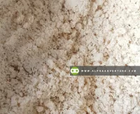 Buy Fermented Soya Pulp for Sale at Alpha Agventure Farms