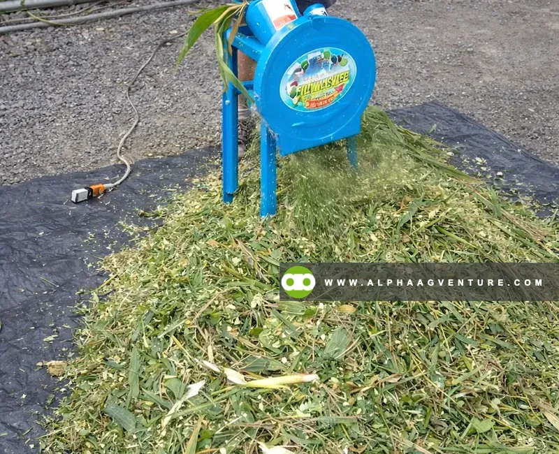 Buy Forage and Vegetable Shredder for Sale at Alpha Agventure Farms