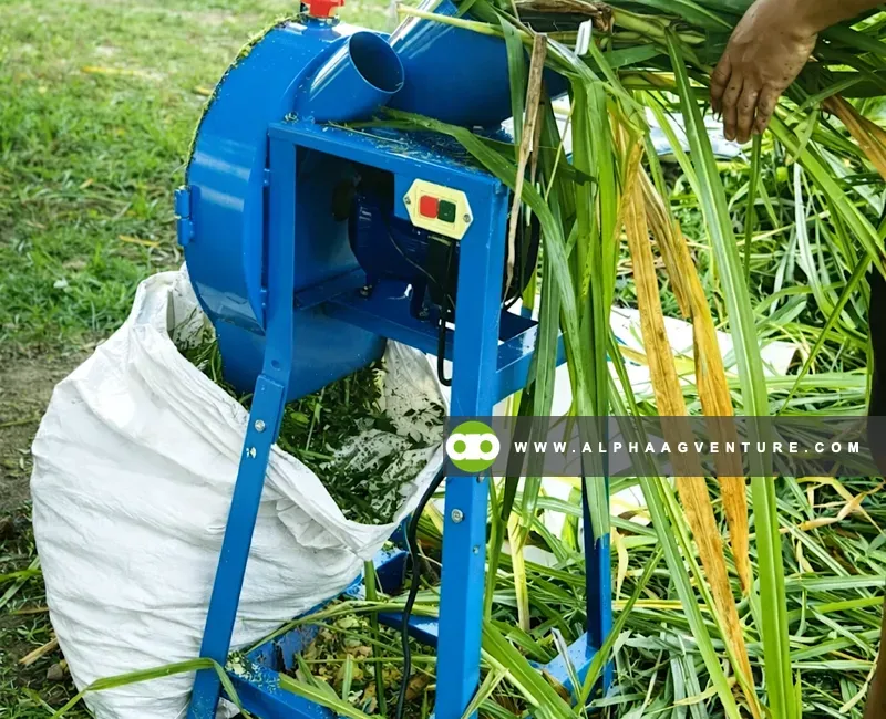 Buy Forage and Vegetable Shredder for Sale at Alpha Agventure Farms