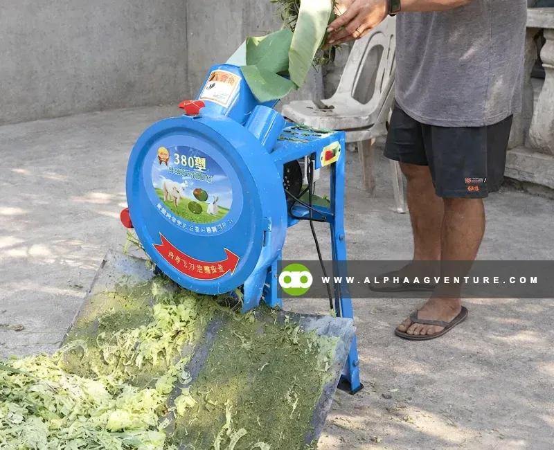 Buy Forage and Vegetable Shredder for Sale at Alpha Agventure Farms