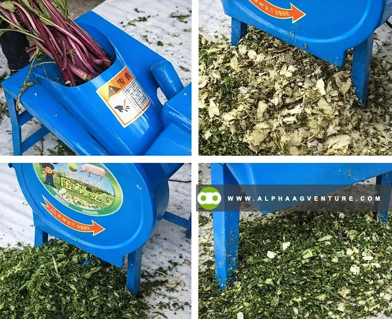 Buy Forage and Vegetable Shredder for Sale at Alpha Agventure Farms