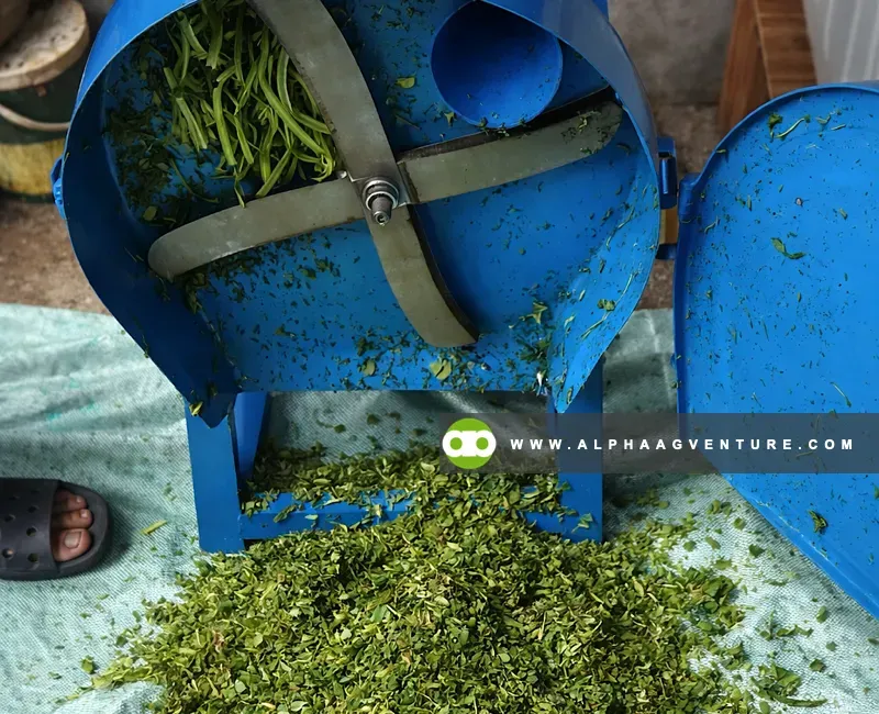 Buy Forage and Vegetable Shredder for Sale at Alpha Agventure Farms