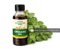 Oregano Oil