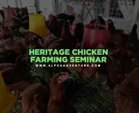 Chicken Farming Seminar for Busy Entrepreneurs and OFWs by Alpha Agventure Farms